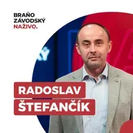 Štefančík: Koalícia nehlasovaním o dôvere nerešpektuje ústavu a tvári sa nedotknuteľne