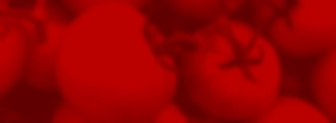 Gastronomía - La Replazeta