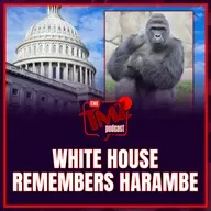 White House Honors Harambe on 10th Anniversary of Gorilla’s Death