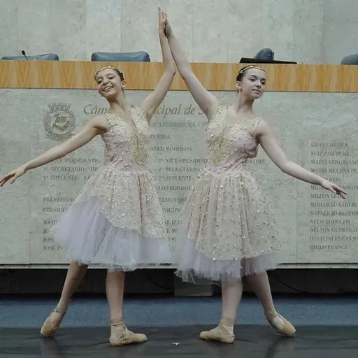 11.05.2026 = CERIMÔNIA NA CÂMARA HOMENAGEOU O DIA DO BALLET