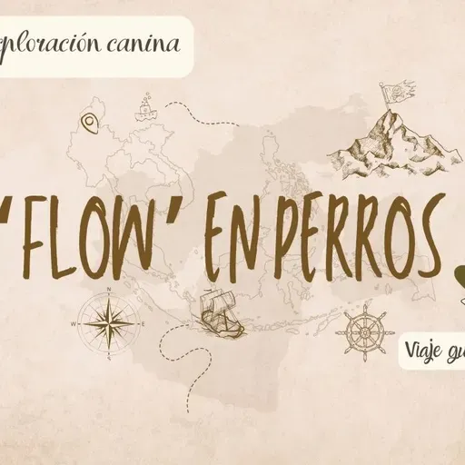 El flow en perros - crónica de exploración canina