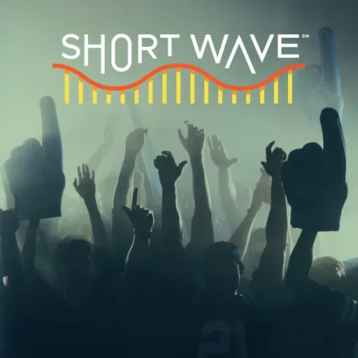 Why Emotions Run High For Sports Fans
