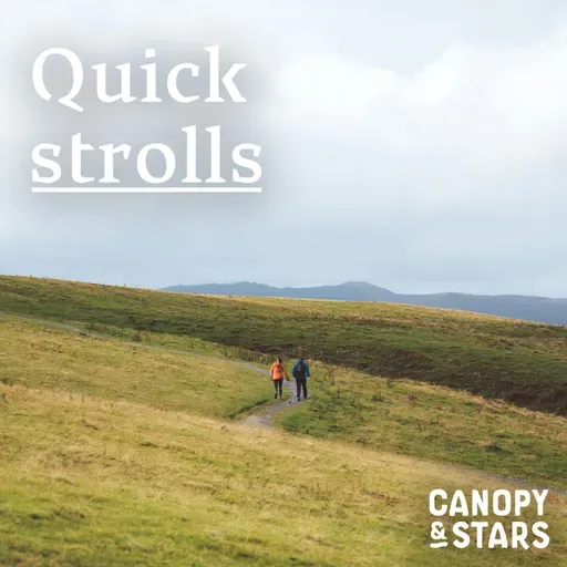 Quick Strolls: Challenging Nature