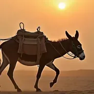 S1 : EP -6 : ಬಸ್ಯ, ಸಿಂಗ , ಮತ್ತು ಅಗಸನ ಕಲ್ಲು :story of basya and singa