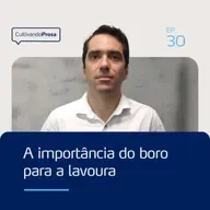 A importância do boro para a lavoura | Cultivando Prosa EP.30
