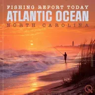 Coastal Carolina Winter Fishing Report: Reds, Drum, and Stripers Highlight the Action
