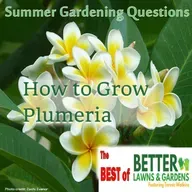 S2 Ep451: Best of Better Lawns and Gardens - Hour 2 Summer Garden Questions May 24, 2026