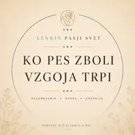 💫 ... ko pes zboli vzgoja trpi 💛