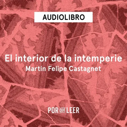 El interior de la intemperie - Martín Felipe Castagnet