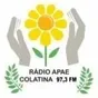Rádio APAE FM