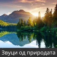 Шкрипливо Пиратско Корабче во Мракот - 10 Часа за Сон, Медитација и Опуштање