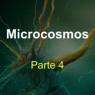 Microcosmos (parte 4) 