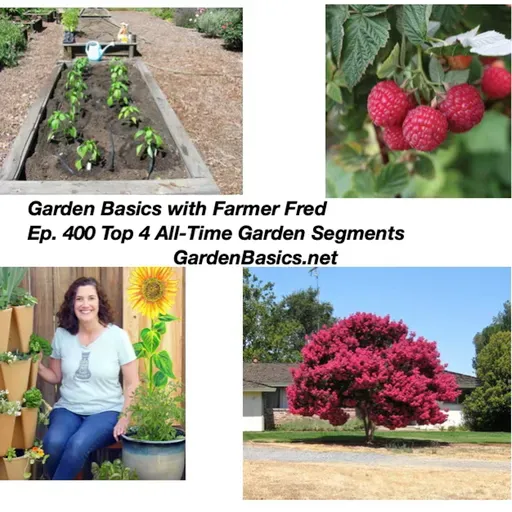 400 Top 4 Garden Topics of All Time