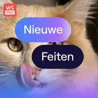 Katten vinden alleen wat lekker ruikt lekker