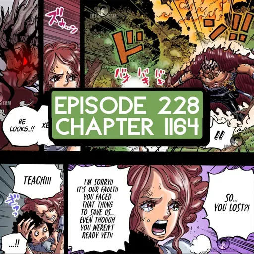 Episode 228: ONE PIECE Chapter 1164 Review, SBS 113 news, and One Piece ANIME Announcement!