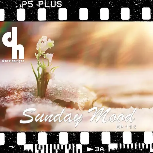 Sunday Mood 113