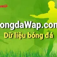 Loi ich khi theo doi du lieu tai bongdawap.com