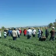 Extensión rural en crisis: ¿Desaparecerá este pilar del campo argentino?
