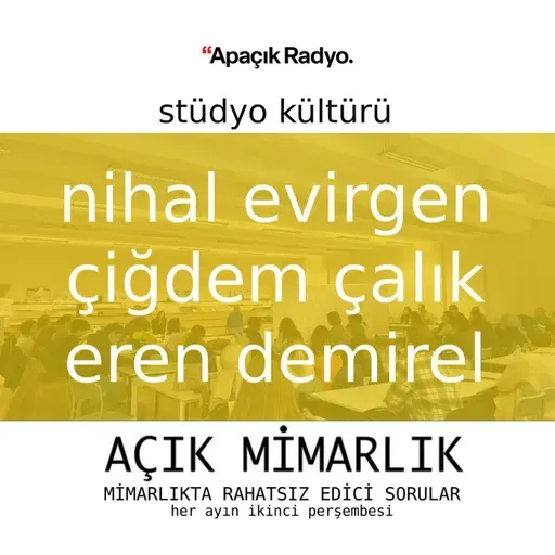 Stüdyo Kültürü