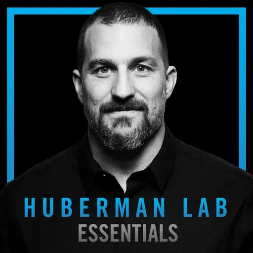 Essentials: How Hearing & Balance Enhance Focus & Learning