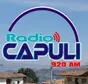 Radio Capulí Julcán