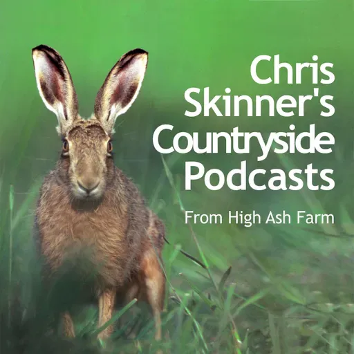 Episode 2.70 - Sand Martin Spectacle and Earsham Colonies