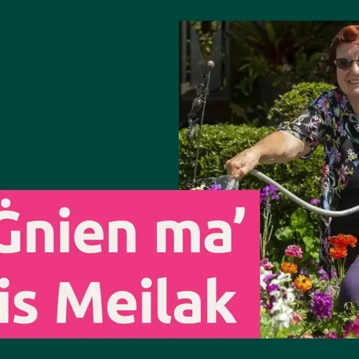 Fjuri u pjanti tar-rebbiegħa | Doris Meilak