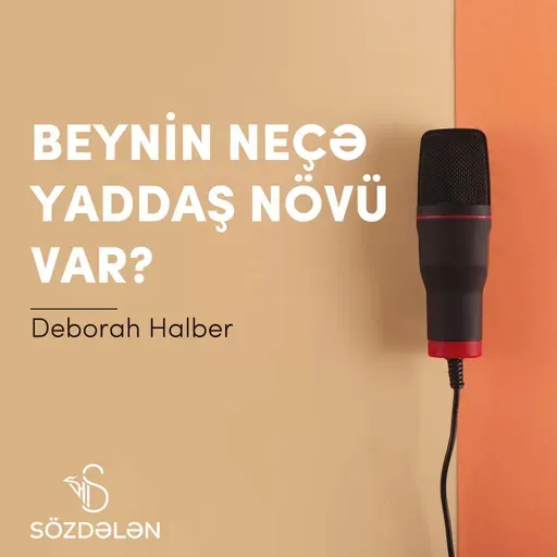 Beynin neçə yaddaş növü var? | Deborah Halber | Sözdələn