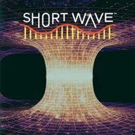 Could Wormholes Exist?