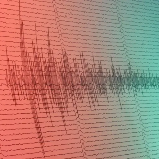 Nature Quest: The Earthquake Prediction Problem