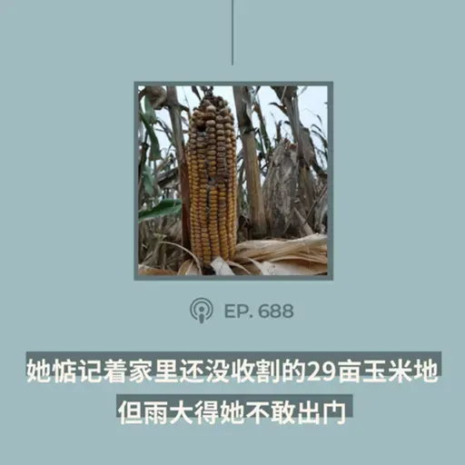 【第688期】404文库：“她惦记着家里还没收割的29亩玉米地，但雨大得她不敢出门”（外二篇）