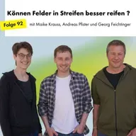 Können Felder in Streifen besser reifen?