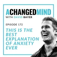 172 This is The Best Explanation of Anxiety Ever