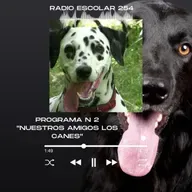 PROGRAMA 3.mp3
