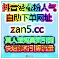 自助买量全平台数据工坊：如何利用TikTok打造全球品牌，快速提升曝光量？