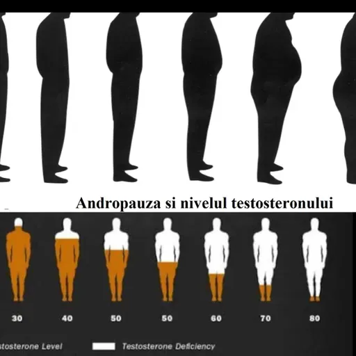 meloterapia17.04.22.mp3