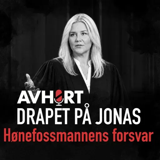 Drapet på Jonas: Hønefossmannens forsvar