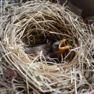 Traci Brimhall: Intimacy and the Everyday