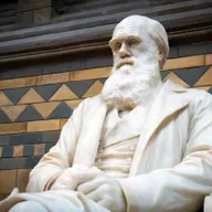 20 Years After Dover: Steve Fuller on Science, Censorship, and the “Church of Darwin”