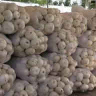 Le journal du 01 avril 2026 - Niamey: Foire aux oignons blancs - une vitrine pour les producteurs locaux