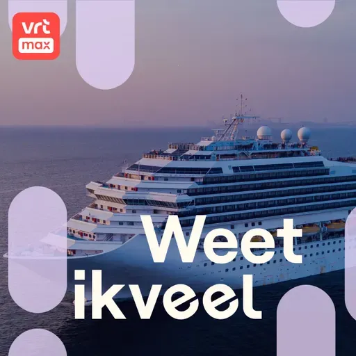Cruiseschip