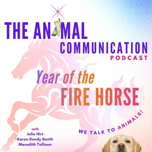 The Year of the Fire Horse