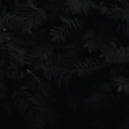 Design kann furchtbar böse sein