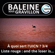 S07E45 C'est quoi l'UICN ? 3/4 : La liste rouge à la loupe, "and the loser is..." (Maud Lelièvre)