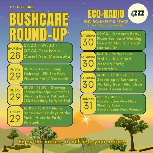 Redland Koalas - Victoria Park / Barrambin