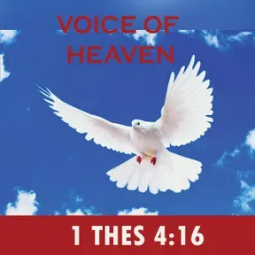 VOICE OF HEAVEN
