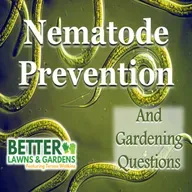 S2 Ep436: Better Lawns and Gardens - Hour 1 Nematode Prevention March 21, 2026