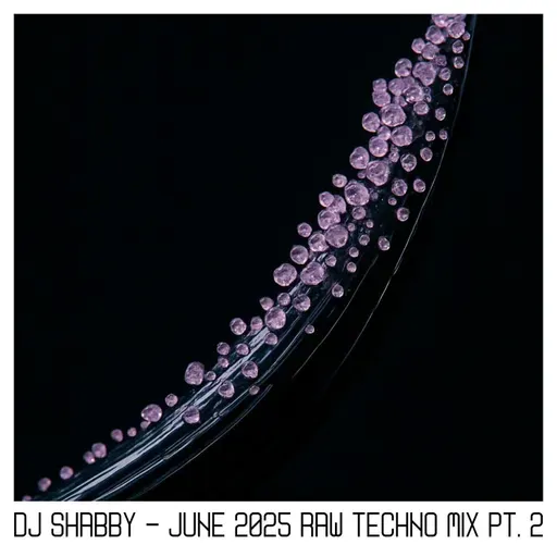 dj Shabby - June 2025 Raw Techno Mix pt. 2