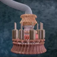 Casey Luskin on the Core Concepts of Intelligent Design