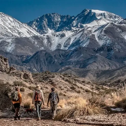 ⛰️ SECRETOS DE LOS ANDES: Revelan el "ADN geológico" de la cordillera